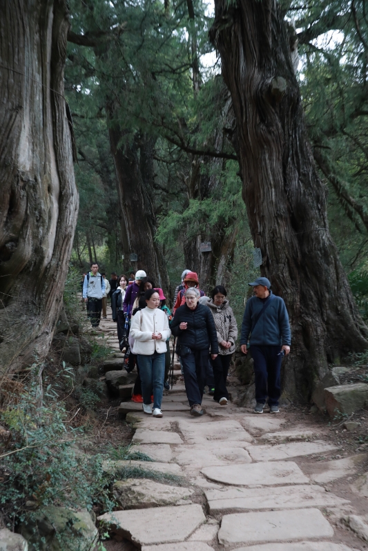 On March 15, Hope Justman (middle) and her friends strolling on the ancient Shu Road in Jiange County, Guangyuan City. Photo by Liu Ren