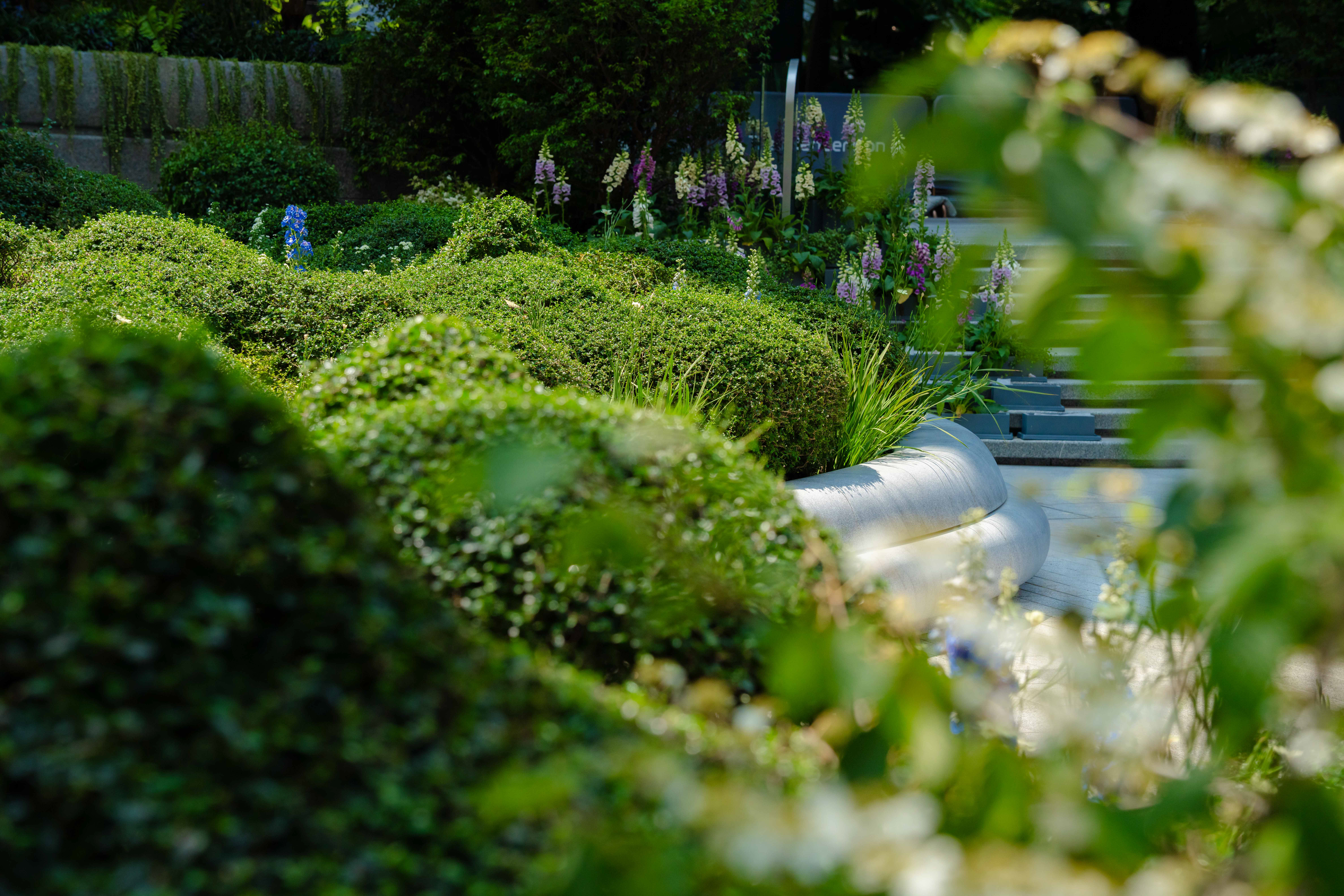 UK topiary artist Darren Lerigo uses his unique pruning skills to create green island hedges with fluid lines and unconventional shapes that echo The Henderson’s iconic silhouette.
