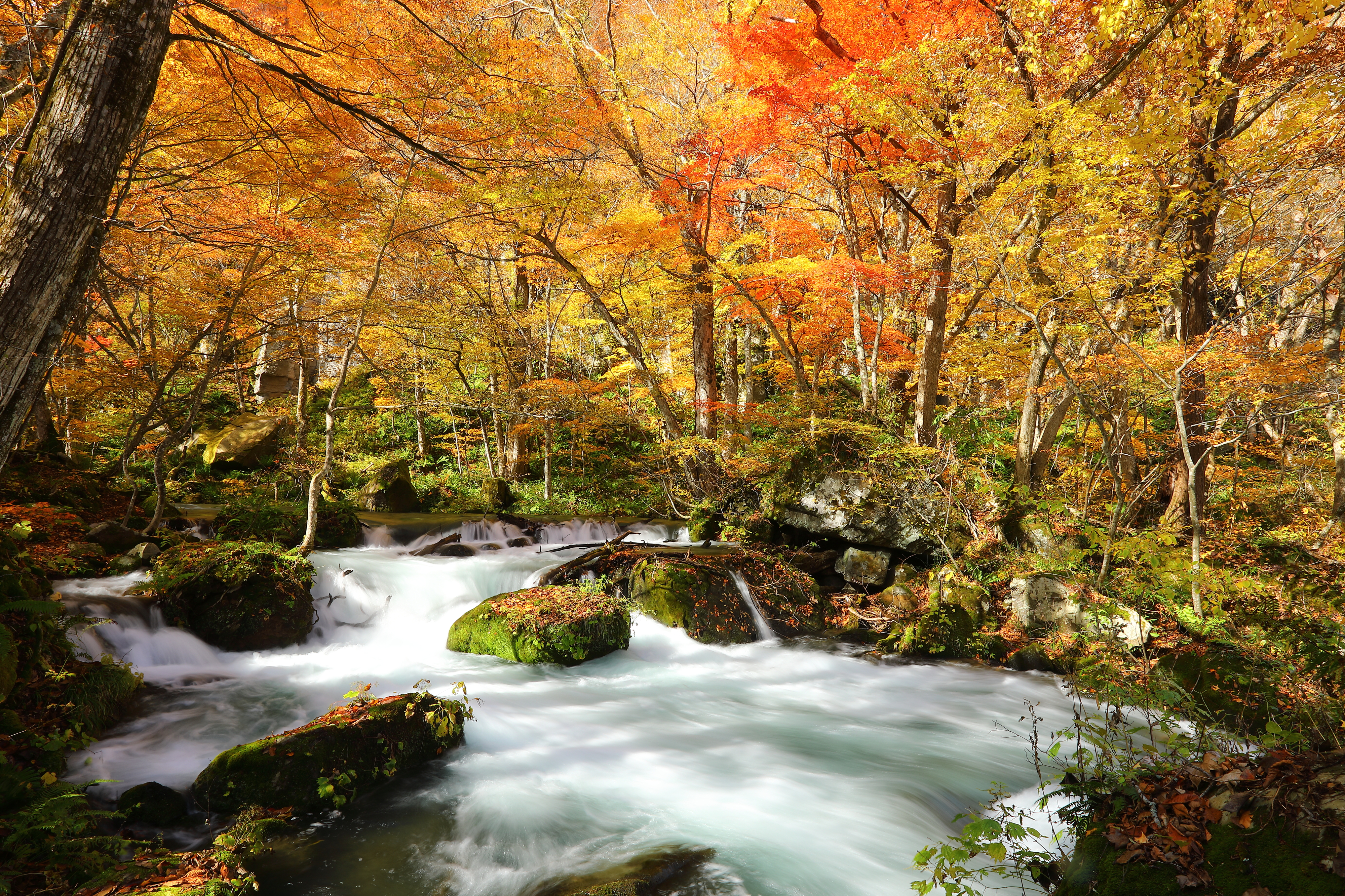 Oirase Gorge (Aomori Prefecture)