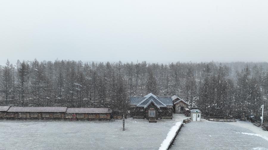 The scenery in Arxan of Hinggan League, north China