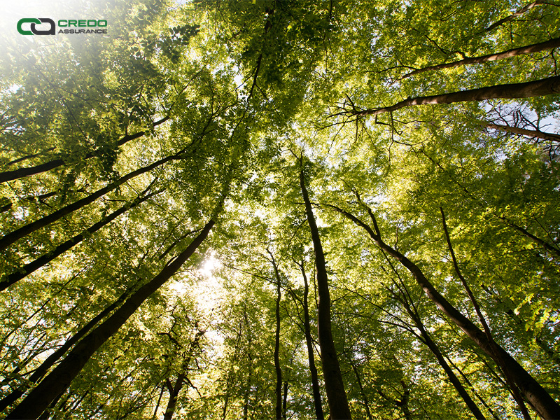 Credo Assurance Earns ESG Certification to Support Sustainability Reporting